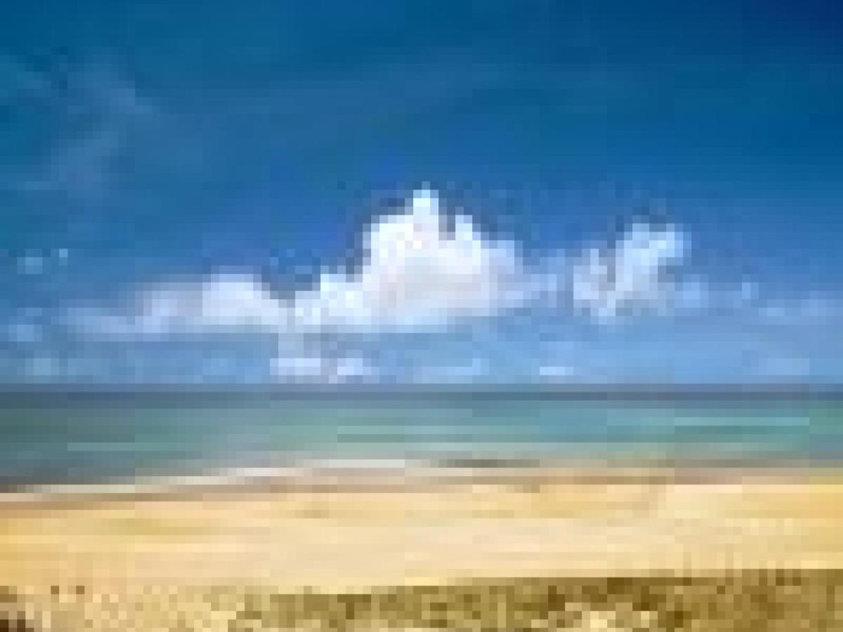 Appartement Cosy A 300M De L'Ocean Au Coeur De La Station - Balcon Et Parking Securise - Fr-1-239-144 塞尼奥斯 外观 照片
